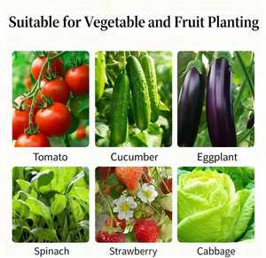 수용성 비료 NPK 복합 비료 농작물용 농업용 균형 비료 - Product Image 4