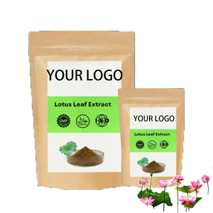 Alta Qualidade 2% Nuciferina Premium Food Grade Herbal Extrato Extrato De Folha De Lótus Orgânico Em Pó Extrato De Plantas Naturais - Product Image 5