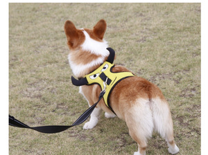 Conjunto de Arnés para Perro y Gato con Diseño de <span class=keywords><strong>Rana</strong></span> <span class=keywords><strong>Toro</strong></span>, Transpirable, Ecológico, Ajustable, Chaleco de Malla Reflectante, Cierre de Hebilla de Poliéster/Nylon - Product Image 5