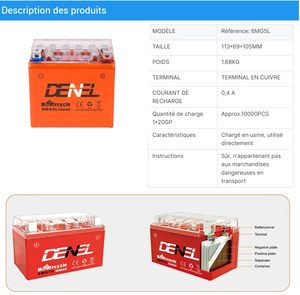 Batterie DENEL 6MG5L pour démarrage 12V 5Ah, autres batteries pour motos, batteries gel pour moto, ATV, UTV, scooter - Product Image 4