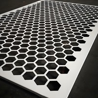 Panneaux de clôture en treillis métallique perforé décoratif en acier inoxydable, filtres en tissu métallique pour façade, découpe de poudre