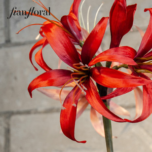 ดอกอามาริลลิสพลาสติกทำมือเหมือนจริงสำหรับตกแต่งคอนเสิร์ต ขายส่ง - Product Image 3