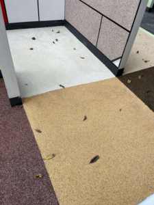 Peinture décorative en pierre lavée en résine imperméable et résistante aux intempéries pour murs de jardin de façade de bâtiment intérieur extérieur - Product Image 6