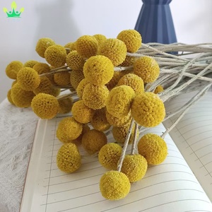 Lot de 20 boutons de fleurs séchées Craspedia Billy Ball, <span class=keywords><strong>rose</strong></span> foncé, bouquet floral, pour mariage, maison, grand vase, festival bohème - Product Image 4