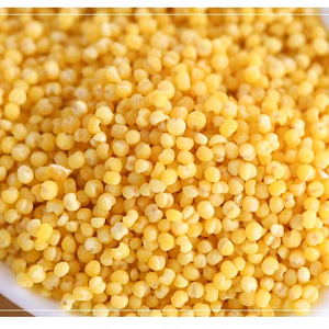 Millet jaune décortiqué biologique non-OGM de Chine - Grain sec nutritif pour la bouillie/la pâtisserie (approvisionnement en vrac) - Product Image 1
