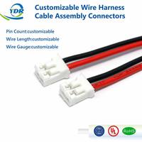 Harness Terminal Molex 1.25mm 2 Pin Kualitas Tinggi Khusus, Berlapis Timah Tembaga, Isolasi PVC, 100mm 300V untuk Elektronik