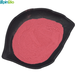 Epinbio <span class=keywords><strong>Myrica</strong></span> <span class=keywords><strong>Rubra</strong></span> Natural de Alta Calidad/Waxberry Powder /Red Bayberry Powder - Product Image 4
