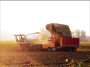Cosechadora de caña de azúcar AC60B-E, equipo agrícola nuevo, para operaciones en grandes plantaciones de azúcar. - Product Image 3