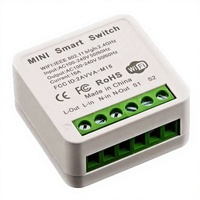 Mini-interrupteur intelligent WiFi+RF433mhz 16A, module d'automatisation DIY avec fil neutre, compatible Smart Life, Alexa, Google Home, 240VAC, ABS durable