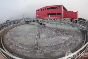 Polymère efficace de traitement des eaux usées de poudre de polyacrylamide anionique de qualité industrielle de haute qualité - Product Image 5