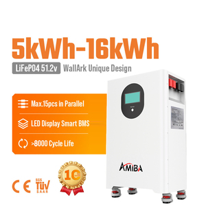 Baterías de Iones de Litio Amiba para Montaje en Pared, 48v 51.2v 200ah 5kwh 10kwh 15kwh 16kwh, Batería de Almacenamiento de Energía para el Hogar - Product Image 1