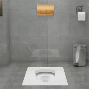 욕실 플러시 화장실 HDPE 원피스 블로우 몰딩 화장실 벽 걸이 숨겨진 은폐 물통