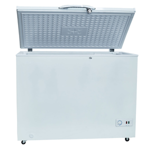 <span class=keywords><strong>Congelatore</strong></span> 220V <span class=keywords><strong>A</strong></span> + classe <span class=keywords><strong>congelatore</strong></span> <span class=keywords><strong>orizzontale</strong></span> - Product Image 1