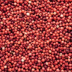 Graines de moutarde rouge DALAI IMPEX en bol doré, épice culinaire naturelle et biologique, origine Orissa - Product Image 5
