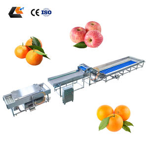 Ligne de lavage et de séchage pour fruits (cerises, oranges, mangues) et légumes (tomates, choux) avec système de lavage Vortex - Product Image 2