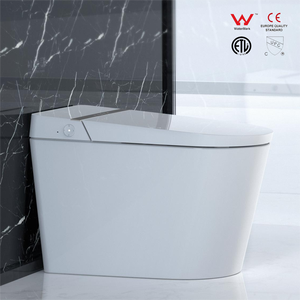 Современный электронный автоматический керамический унитаз - Product Image 1