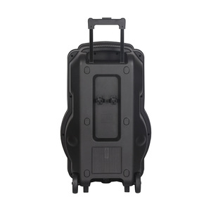 Draagbare Karaoke Mic Soundbox 12 "Trolley Speakers Met 2 Draadloze Muro 12 Inch Line <span class=keywords><strong>Array</strong></span> Luidsprekeronderdelen Accessoires V12 V15 - Product Image 3