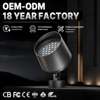 Lampu Proyeksi LED Lanskap Luar Ruangan Desain Industrial Tahan Angin IP66 Tahan Air CRI 90 AC 3-60 Sudut Sinar Garansi 5 Tahun