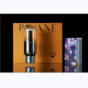 T-035 <span class=keywords><strong>Psvane</strong></span> Премиум Acme 211 с вакуумными трубками A211 <span class=keywords><strong>We211</strong></span> обновления в винтажном стиле Hi-Fi Аудио ламповый усилитель заводские испытания матч пара * 1 - Product Image 1