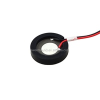 Atomizador piezoeléctrico en forma de disco de elemento cerámico ultrasónico de 20mm 1,7 MHZ para uso eléctrico
