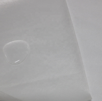 Tissu drap de lit en dentelle, textile de maison Ultra doux, stratifié avec TPU 100%, étanche