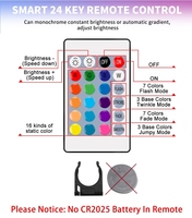 Tira de luces LED resistente al agua con batería AA, decoración Flexible de 5V, 5050, RGB, Fondo de TV, a rayas, luz de fondo con Accent, mando a distancia IR
