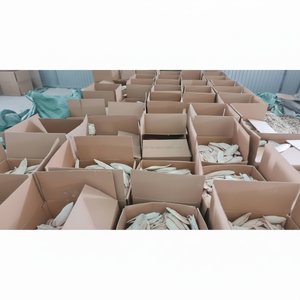 GIA NGUYEN Os de seiche propre, nourriture pour perroquets, fournitures pour oiseaux de qualité supérieure, origine Vietnam - Product Image 1