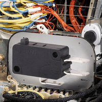 Micro-interrupteur DEWO 16A SPST à levier, conception à broche à piston, indice de protection IP41, 250VAC, usage industriel pour moteurs d'actionneurs
