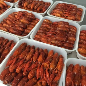 ฤดูกาลใหม่แช่แข็งทั้งรอบกุ้ง - Product Image 2