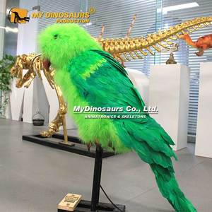 Papagaíos Grises Africanos Animatrónicos <span class=keywords><strong>de</strong></span> Tamaño Real para Parques <span class=keywords><strong>de</strong></span> Vida Silvestre, Centros Comerciales y Áreas Públicas, Uso Interior/Exterior - Product Image 5