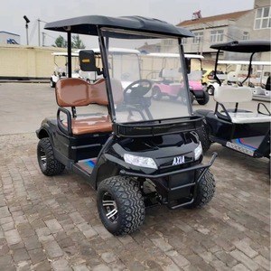 Voiturette de golf électrique 2 places 4000W fabriquée en Chine pour les excursions touristiques - Product Image 2