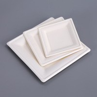 Assiettes jetables écologiques modernes en papier, compatibles lave-vaisselle, biodégradables, pour dîner, assiettes de présentation, utilisation mariage, ovales et carrées