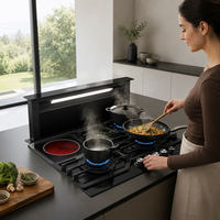 Table de cuisson multi-combustibles (gaz, électrique, GPL) à économie d'énergie, compatible avec divers ustensiles de cuisson, surface en verre trempé, haute performance (encastrable ou sur table)