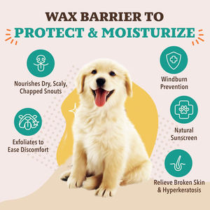 Vente en gros de stick baume multifonctionnel pour nez de <span class=keywords><strong>chien</strong></span>, lécher, prévenir les brûlures de vent, ingrédients biologiques, hydratant - Product Image 4