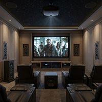 Subwoofer Profesional de Alta Potencia para Cine en Casa, Sistema de Audio para Teatro en Casa, Diseño de Arreglo de Altavoces de Baja Frecuencia