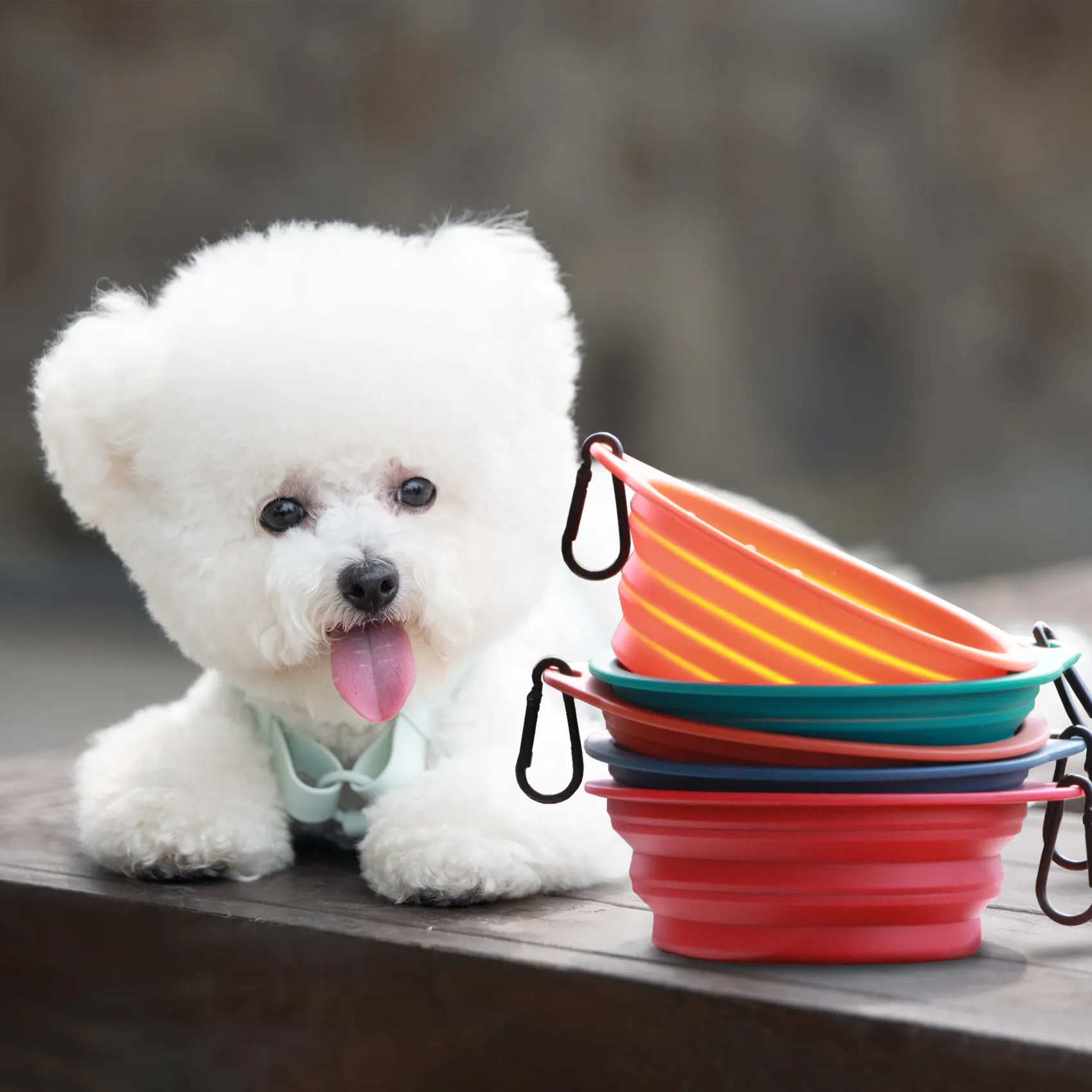 SunRay Mascota Low MOQ Customized Logo pet bowls feeders portable pet bowl Collapsible Silicone Dog Bowl for Travel