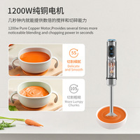 Mixeur Plongeant Électrique Multifonctionnel Haute Puissance en Acier Inoxydable Norme Européenne AOTE, Hachoir et Robot Culinaire Polyvalent