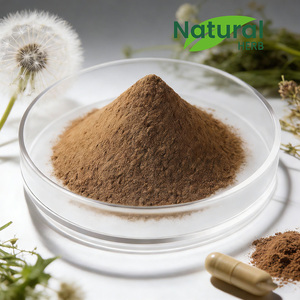 ผงสกัดรากดอกแดนดิไลออนปรับแต่งได้ ช่วยปรับสมดุลลำไส้ เหมาะสำหรับเจ้าของแบรนด์และผู้จัดจำหน่าย - Product Image 6