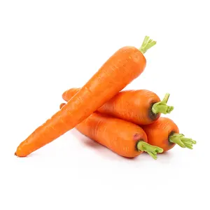 Fornecedor melhor preço em pó orgânico puro da cenoura