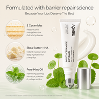 Baume à lèvres multi-céramides OEM sous marque privée, réparation de la barrière cutanée, hydratation profonde, menthe rafraîchissante pour lèvres sèches