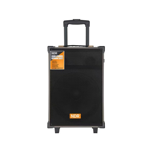 Portable NDR-C12 for Trolley Party Speaker RGB LED 2 Wireless Microphones Built-in Holders for Outdoor Home Karaoke Events