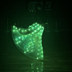 Nouvelle Conception, Jupe Lumineuse LED à Télécommande, Costumes de Danse du Ventre, Robe de Scène pour Mariage, Accessoires de Fête en Club pour Femmes - Product Image 3