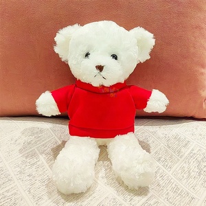 Orsacchiotti di Peluche Personalizzati con Testo, Logo o Immagine su Maglietta, Bambole Morbide in Cotone di Piccole Dimensioni - Product Image 3