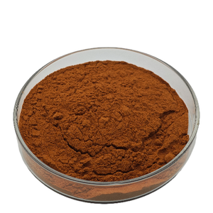 Fournisseur d'usine, complément alimentaire à base d'organes de bœuf, nourri à l'herbe, extrait pur de foie de bovin, poudre de foie de bœuf - Product Image 5