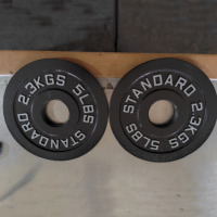 Pelat Beban Gym Berlapis Pasir Pra-Cat 450mm (17.72") Standar IWF dari Besi Cor