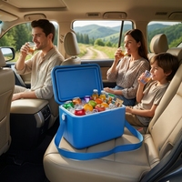 Boîte isotherme multifonctionnelle en EVA imperméable, couleur personnalisée, conteneur thermique pour voiture, voyage, maison, pique-nique, stockage