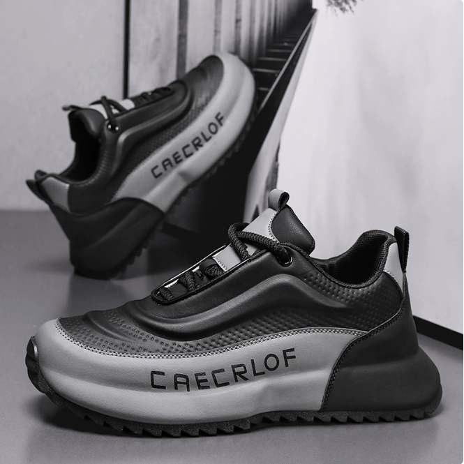 สีดำและสีเทา