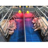 Plancher en plastique robuste pour élevage de porcs, équipement d'élevage, facile à nettoyer, plancher à lattes en plastique pour porcs et chèvres