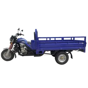 From In China Supplier Cargo Petrol Tricycle Three Wheel Motorcycle Bike gasoline type cargo tricycle motorcycle China