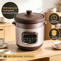 Marmite Électrique en Céramique Naturelle Grande Capacité, Maintien au Chaud, Pot à Soupe Durable Haute Puissance, Marmite à Congé OEM